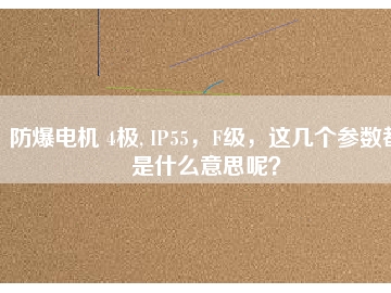 防爆電機(jī) 4極, IP55，F(xiàn)級(jí)，這幾個(gè)參數(shù)都是什么意思呢？