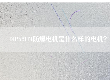DIPA21T4防爆電機(jī)是什么樣的電機(jī)？