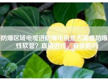 防爆區(qū)域電纜進防爆電機是否需要防爆撓性軟管？直接進線，有依據(jù)嗎
