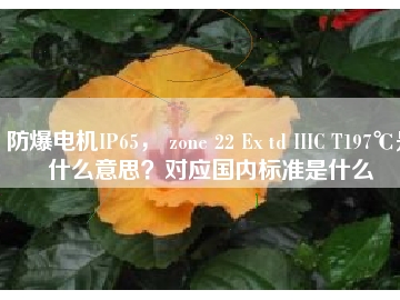 防爆電機(jī)IP65， zone 22 Ex td IIIC T197℃是什么意思？對(duì)應(yīng)國(guó)內(nèi)標(biāo)準(zhǔn)是什么