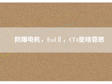 防爆電機，ExdⅡ，CT4是啥意思
