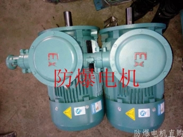防爆電機(jī)分類(lèi)：防爆電機(jī)選型、參數(shù)、定義