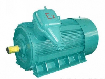 防爆電機(jī)如何出現(xiàn)掃膛、振動(dòng)、軸承過熱要怎么處理
