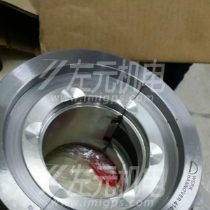 EFZLB 11-110,EFZLB 9-80電機(jī)軸瓦，油封及油環(huán)應(yīng)用于化工行業(yè)電機(jī)