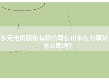 東元電機股份有限公司在山東在辦事處或分公司嗎？