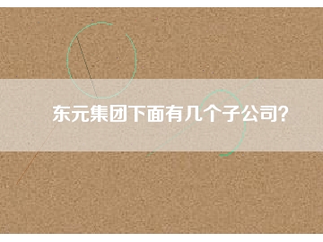 東元集團(tuán)下面有幾個(gè)子公司？