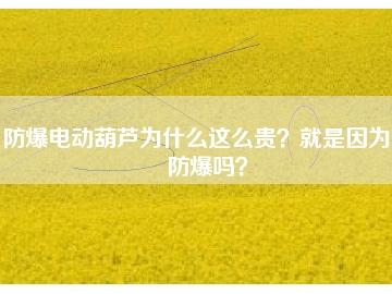 防爆電動葫蘆為什么這么貴？就是因?yàn)槟芊辣瑔幔?></div>
                            <div   id=