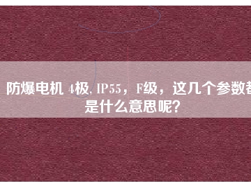 防爆電機(jī) 4極, IP55，F(xiàn)級(jí)，這幾個(gè)參數(shù)都是什么意思呢？