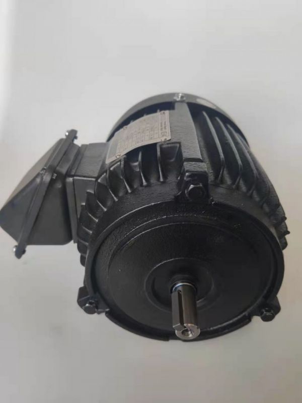永磁電機(jī) DVEX  375KW  3000RPM  F#315M IE4效率電機(jī)