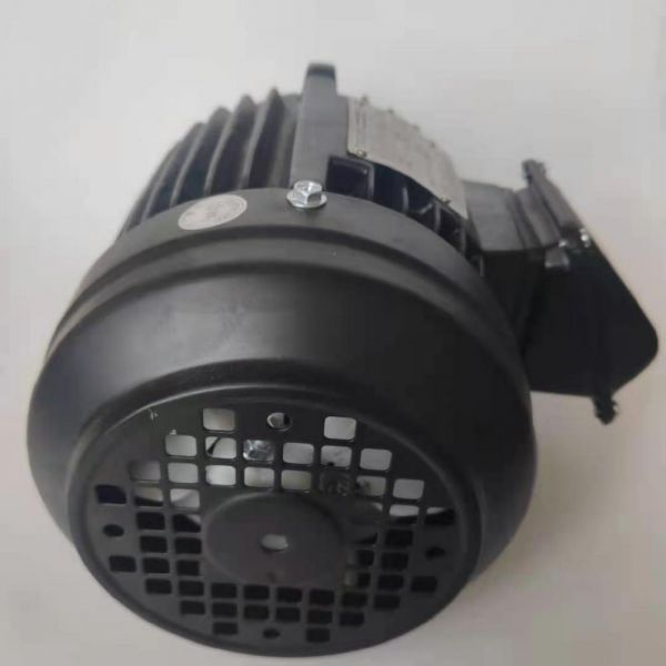 永磁電機(jī) DVEX  375KW  3000RPM  F#315M IE4效率電機(jī)