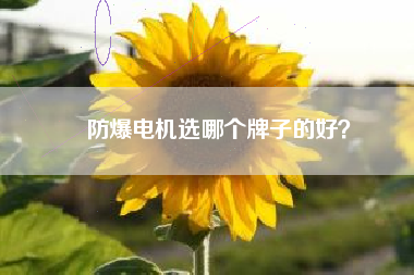 防爆電機選哪個牌子的好？