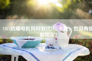 YB3防爆電機(jī)何時(shí)取代YB2電機(jī)，也沒有強(qiáng)制規(guī)定？