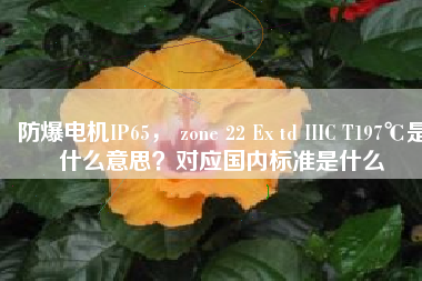 防爆電機(jī)IP65， zone 22 Ex td IIIC T197℃是什么意思？對(duì)應(yīng)國(guó)內(nèi)標(biāo)準(zhǔn)是什么