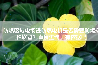 防爆區(qū)域電纜進(jìn)防爆電機(jī)是否需要防爆撓性軟管？直接進(jìn)線，有依據(jù)嗎