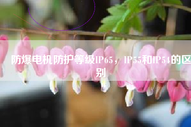 防爆電機防護(hù)等級IP65，IP55和IP54的區(qū)別