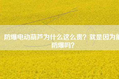 防爆電動葫蘆為什么這么貴？就是因為能防爆嗎？