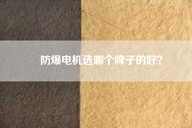 防爆電機(jī)選哪個(gè)牌子的好？