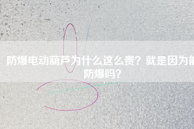 防爆電動葫蘆為什么這么貴？就是因為能防爆嗎？