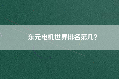 東元電機(jī)世界排名第幾？