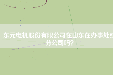 東元電機股份有限公司在山東在辦事處或分公司嗎？