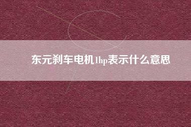 東元?jiǎng)x車(chē)電機(jī)1hp表示什么意思