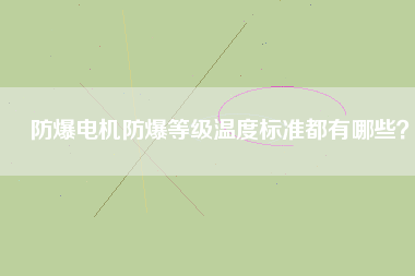 防爆電機(jī)防爆等級(jí)溫度標(biāo)準(zhǔn)都有哪些？