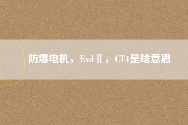 防爆電機，ExdⅡ，CT4是啥意思